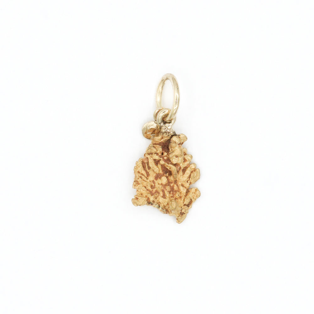Goldnugget Anhänger Nr. 671
